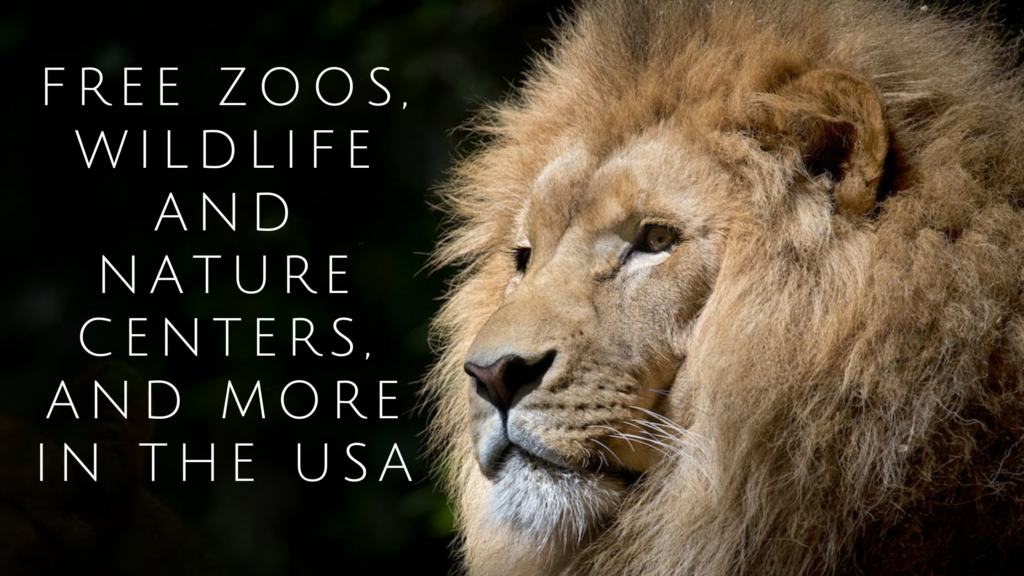Image of a lion with caption: Free zoos, wildlife and nature centers, and more in the USA