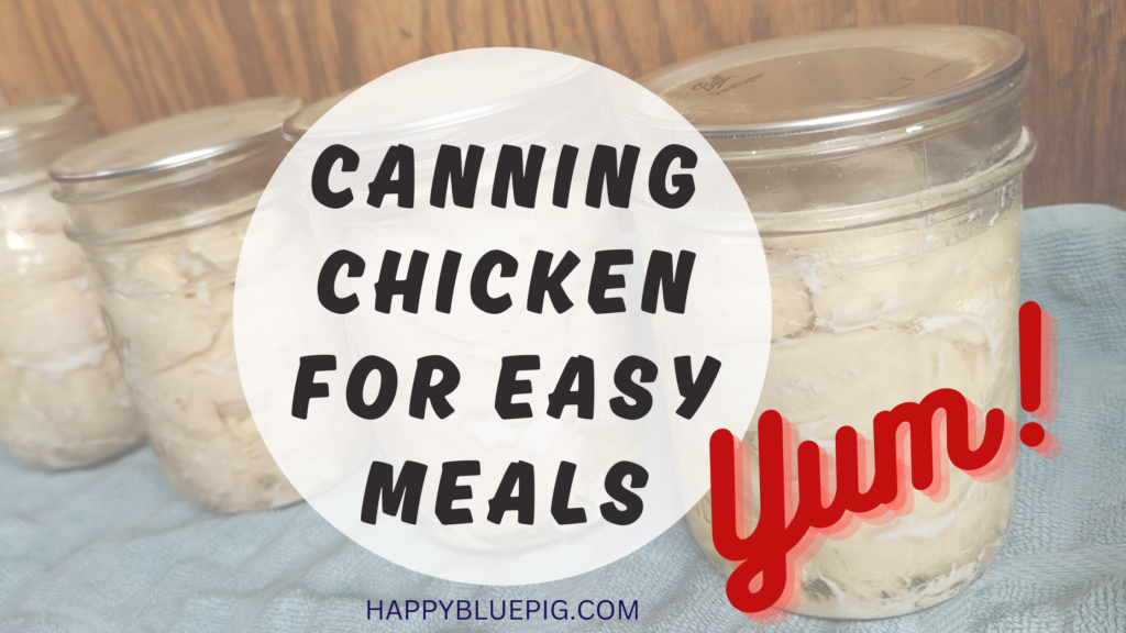 Image of home canned jars of chicken. Caption reads: Canning Chicken for Easy Meals